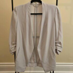 Babaton 00 Blazer (Aritzia)